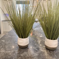 Faux Plants