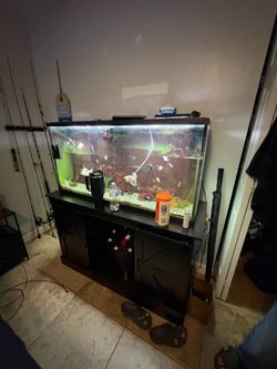 55 gallon fish tank