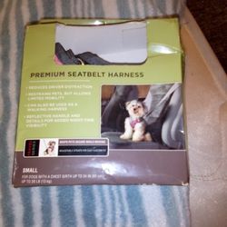 Seatbelt Harness