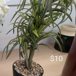 Art - Staging sale must go! 