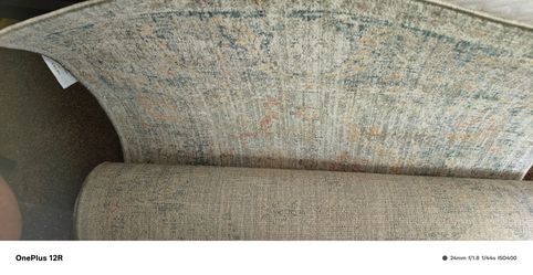 ( Brand New) Millie Area Rug Rolled Up