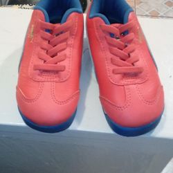 Baby Pumas 