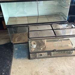 3 Reptiles Tanks
