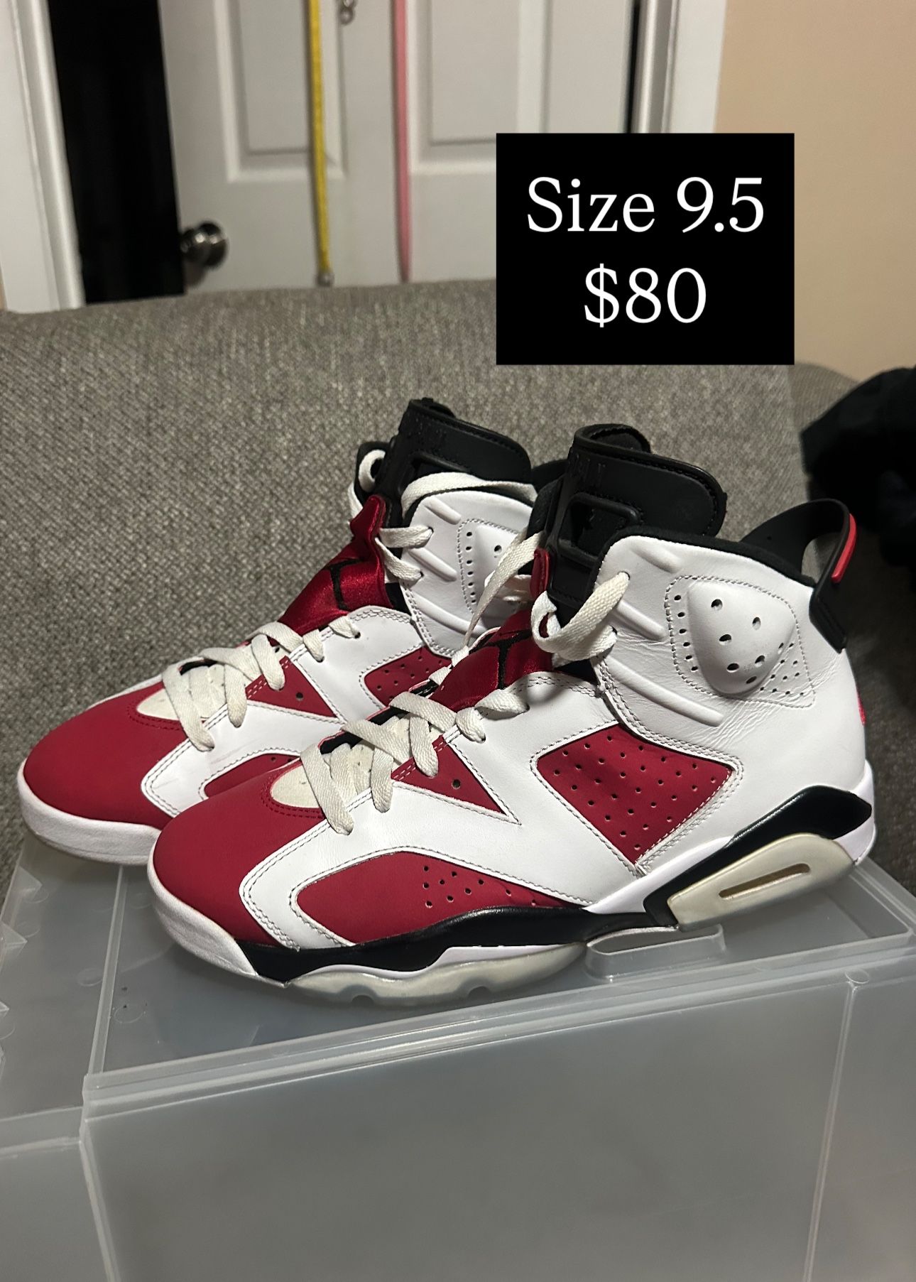 Jordan 6 Carmine 9.5