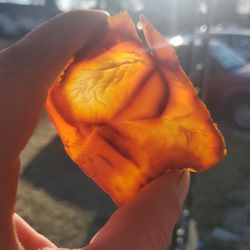 Carnelian Agate Slice
