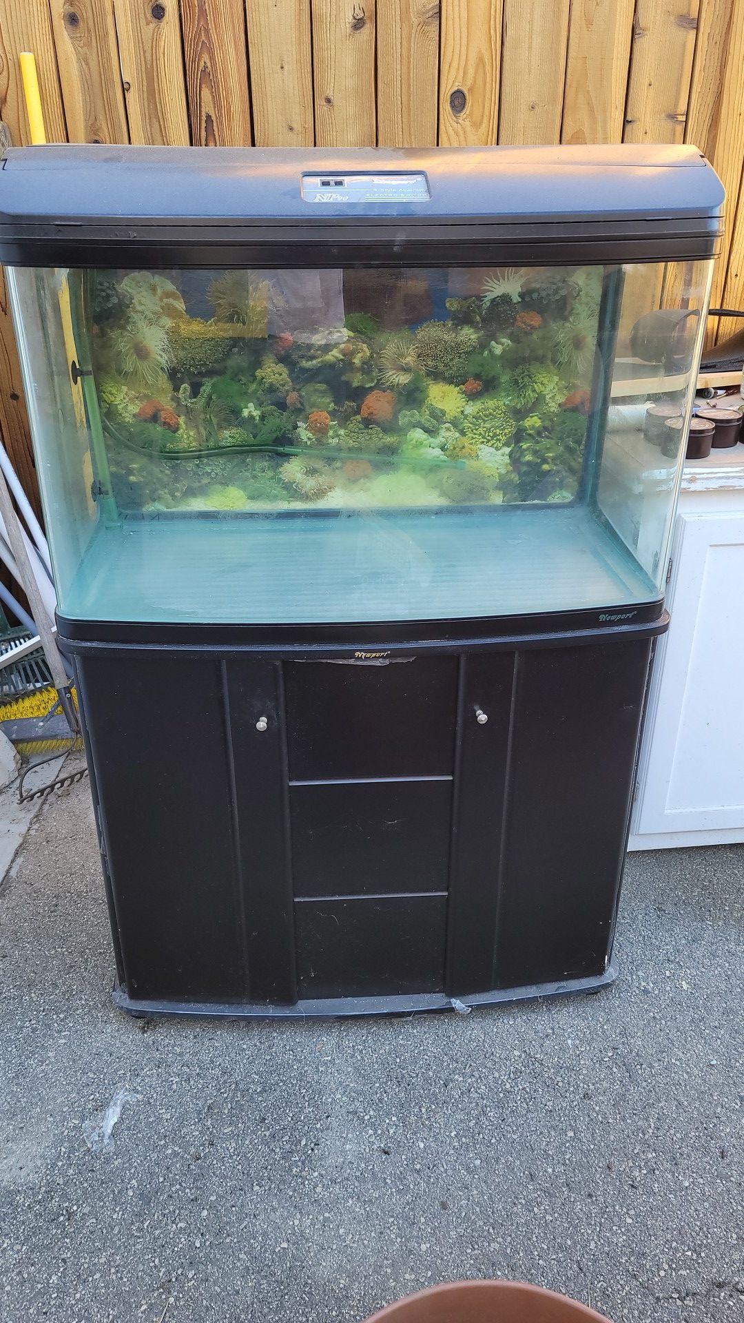 60 gallon fish tank