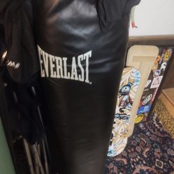 Like New Everlast Punching Bag 100 Lbs