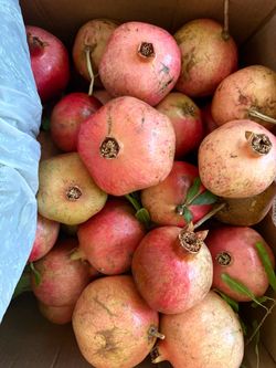 Fresh pomegranate