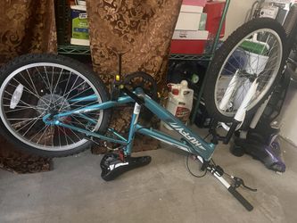 Girl Bicycle 20”