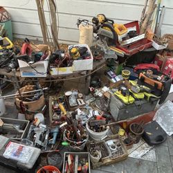 From Everything To Anything 