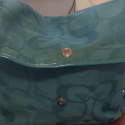Woman's Coach Bag