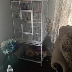 Bird Cage