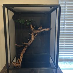 Terrarium For Sale