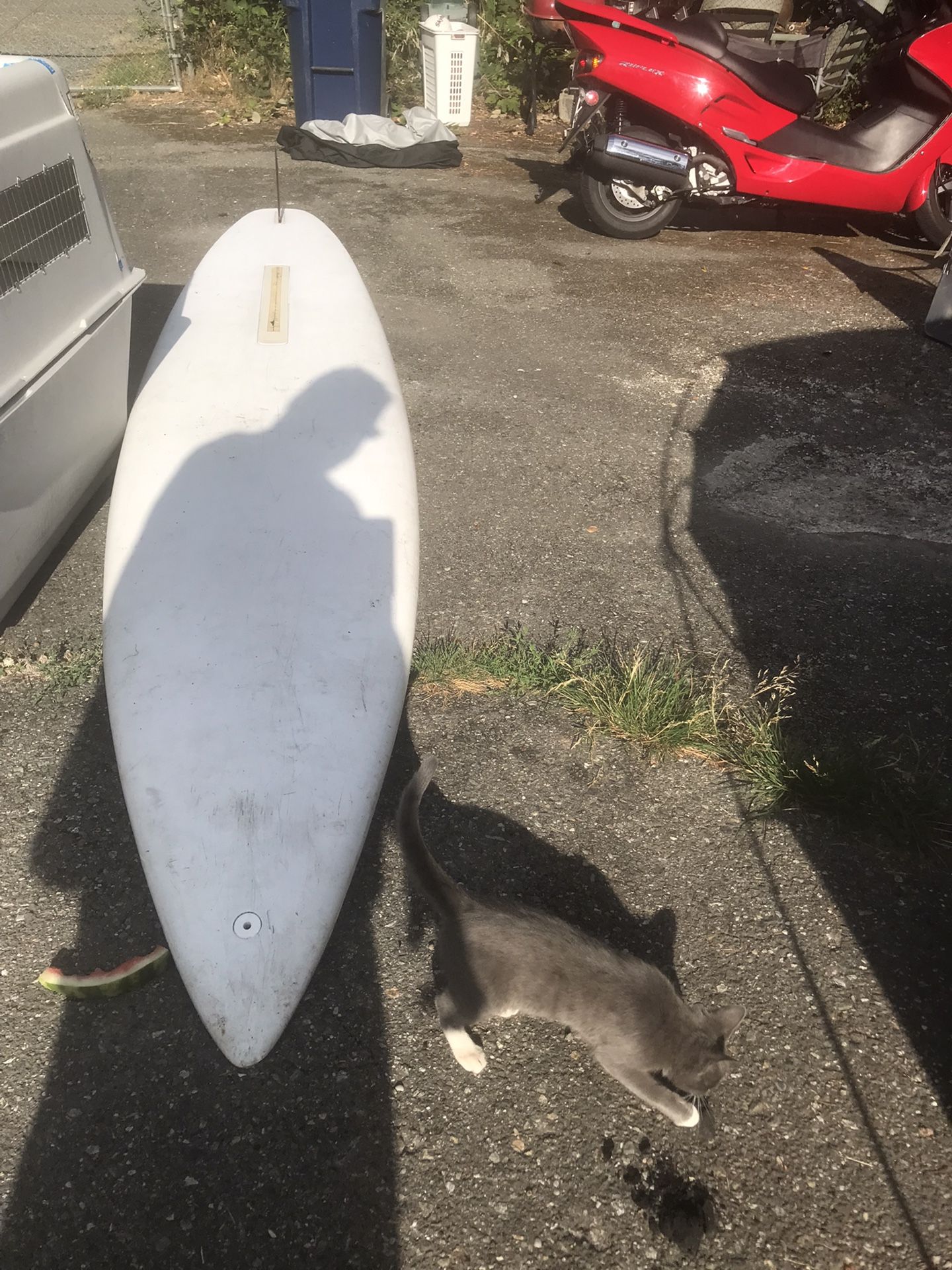 13 feet long paddleboard