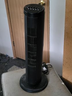 Fan