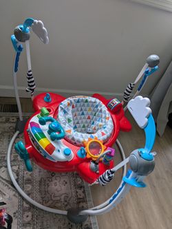 Baby Einstein jumper