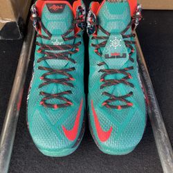 Nike Lebron XII 12 “Akron Birch” Sz 9.5
