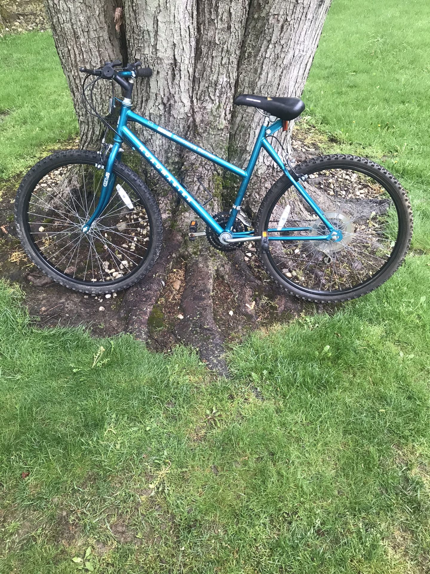 26” Mountain Bike (roadmaster) 