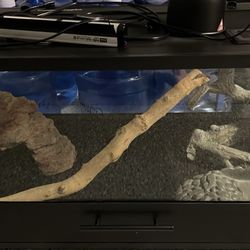 Aquarium 