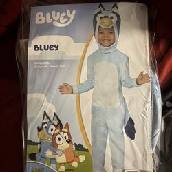 Bluey costume