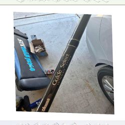 Swimbait Fishing Rod Excellent for Fishing Fans someone cultural