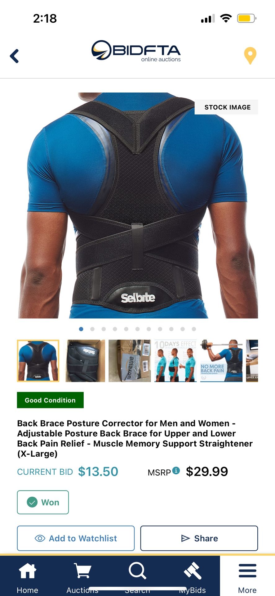 Posture Support Brace