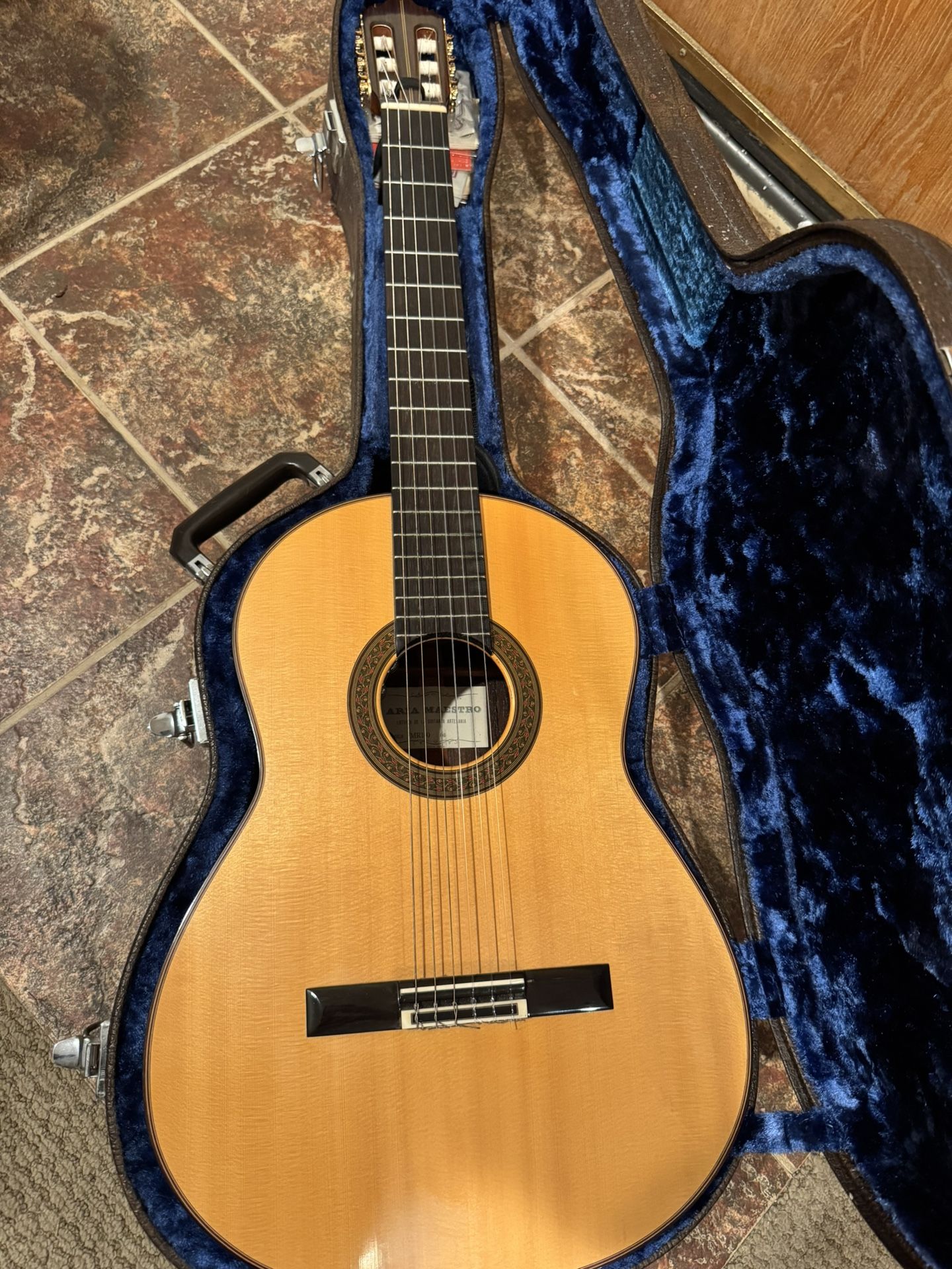 Aria Maestro Acoustic Guitar