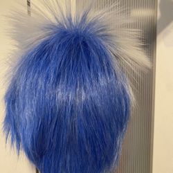 Wig