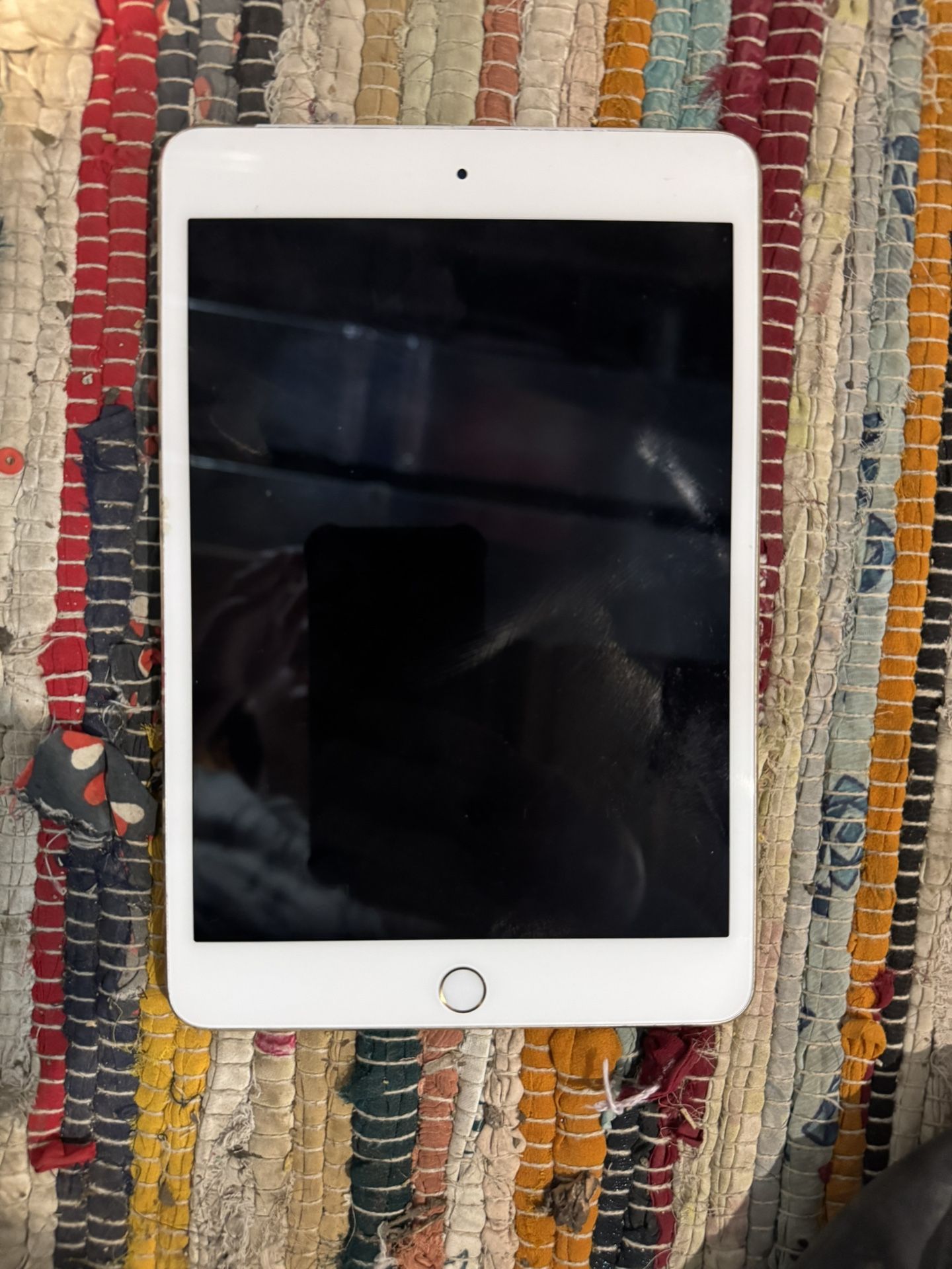 Unlocked iPad Mini 4