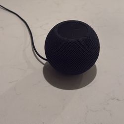 Apple Speaker 