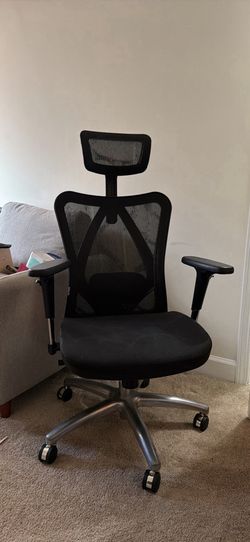 Ergonomic Desk Chair