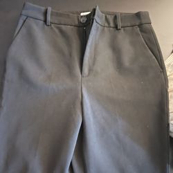 Zara Suit Pants