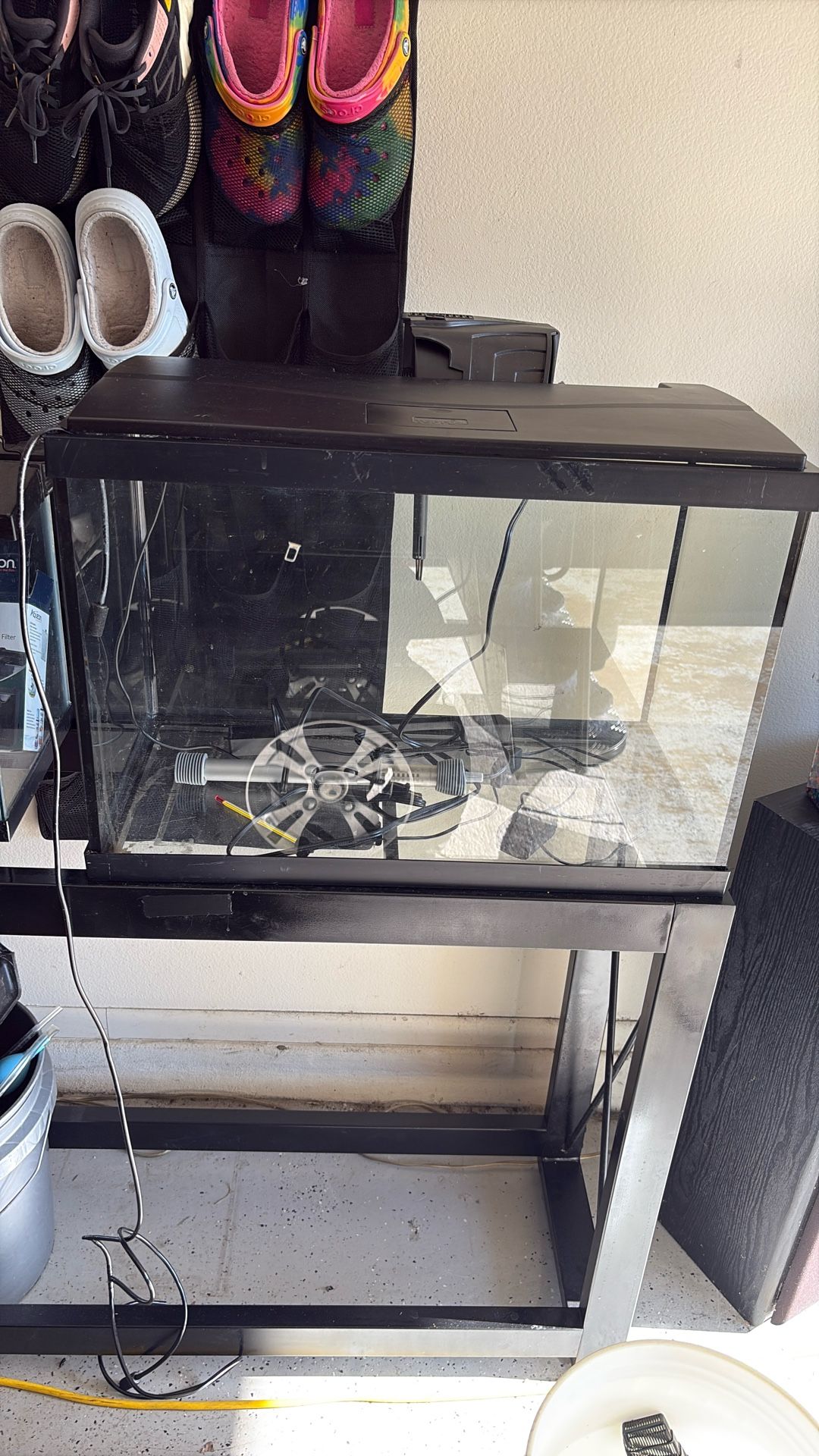 20gallon Set Up