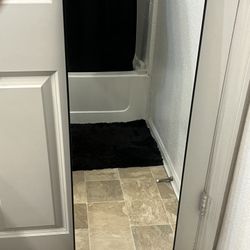 Full Body Mirror 