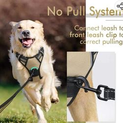 All Weather Dog Harness 