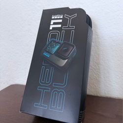 Gopro Hero11 Black CPST1 $210