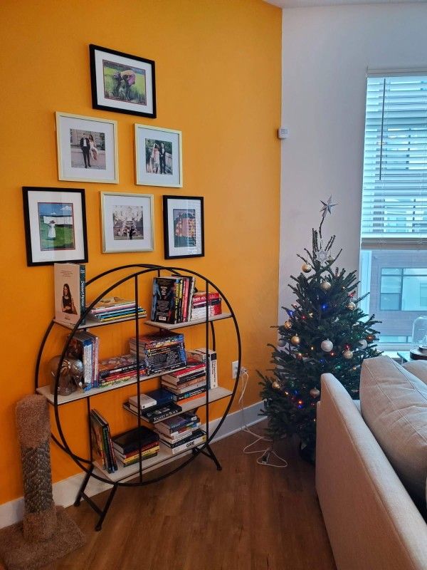 Modern Round Bookcase