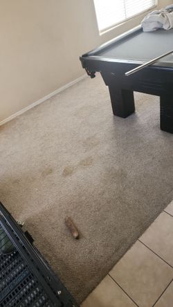 Carpet C134n1ng