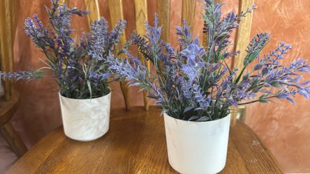 Artificial Small Violets. $8.00