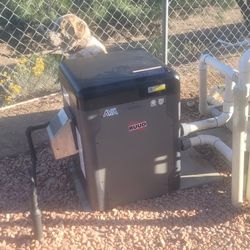 Raypak Avia Swimming Pool Heater 