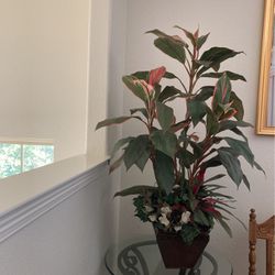 Fake Indoor Plant