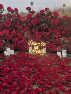 Red flowers/proposal