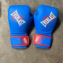  blue, red, black everlast youth 8oz gloves