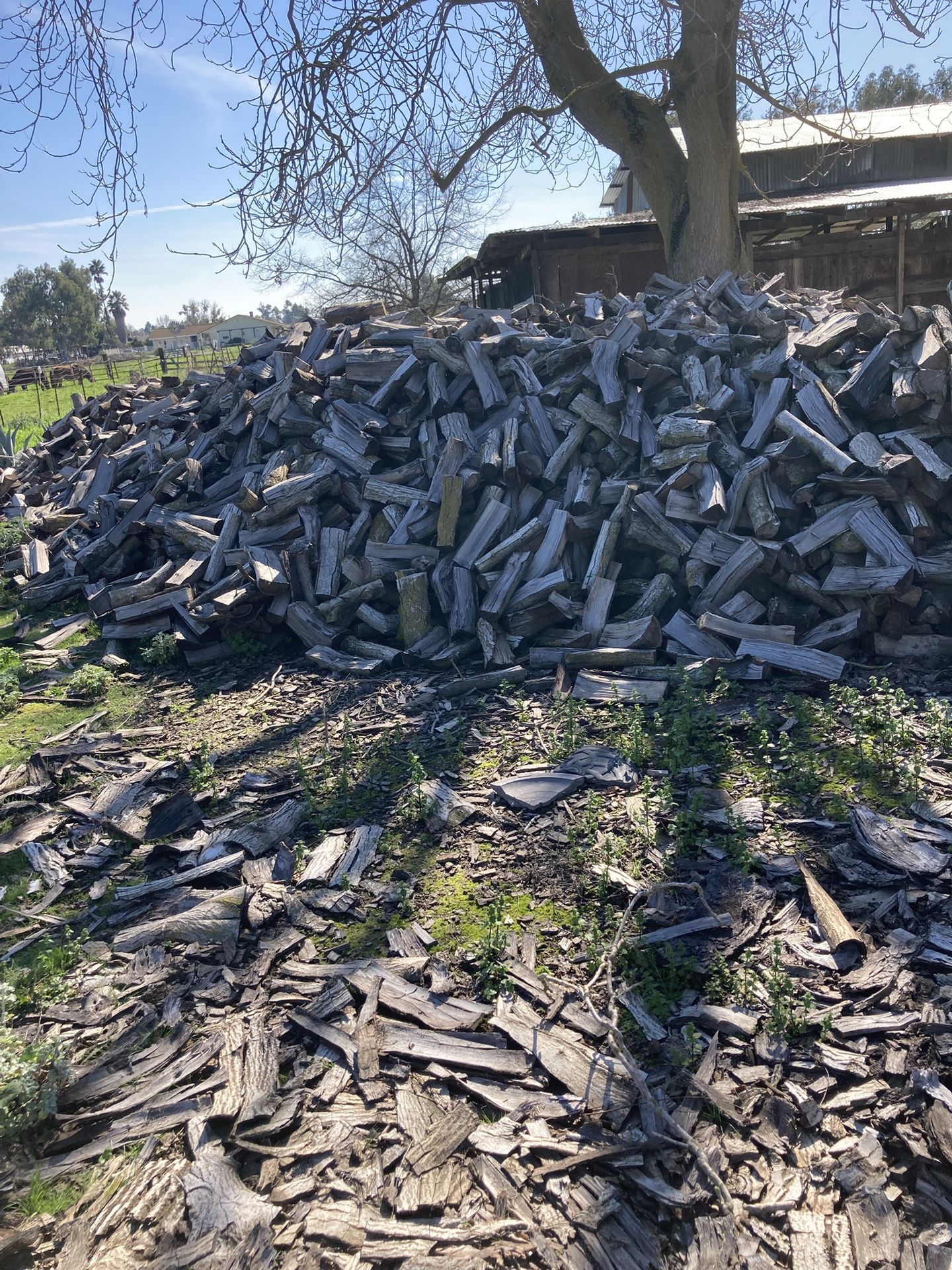 Seasoned Walnut Firewood