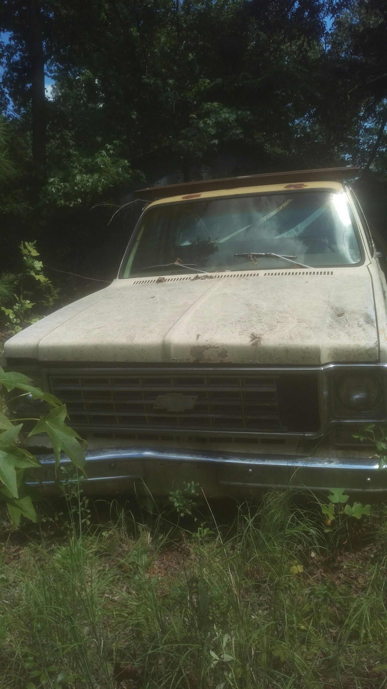 76 Chevy truck
