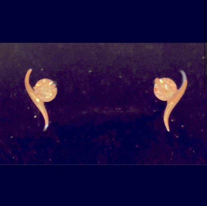 Diamond Earrings 925