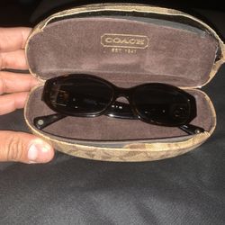 Coach Sunglasses HC 8012