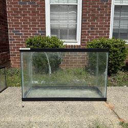 30g Tall Tank/Aquarium