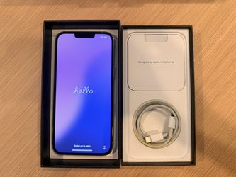 Silver iPhone 13 Pro Max (256 GB)