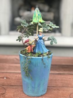$15 Cinderella inspired fairy garden